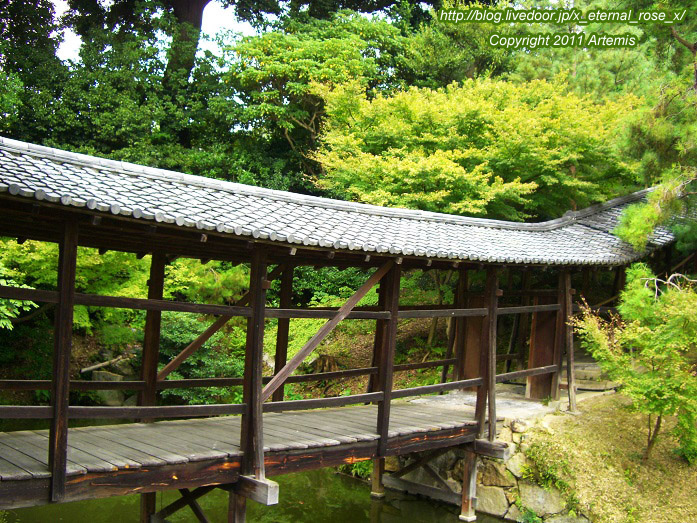 10.10.20.9 高台寺  (26)