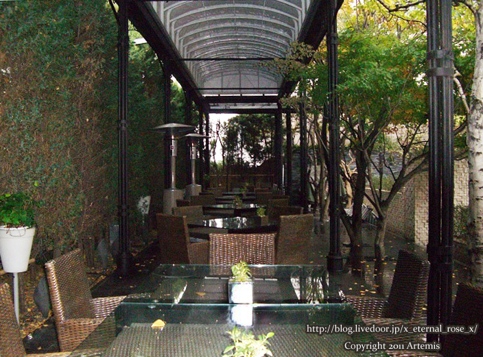 9.11.13 リッツ朝  (4)