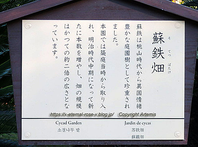 23.1.1 岡山後楽園  (96)