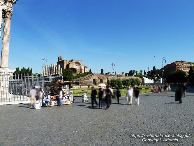 11.5.30.4 コロッセオ  (18)