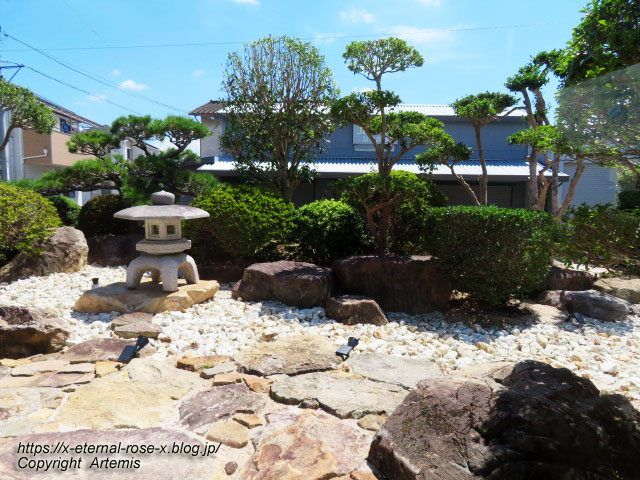 22.8.19 う垣  (12)