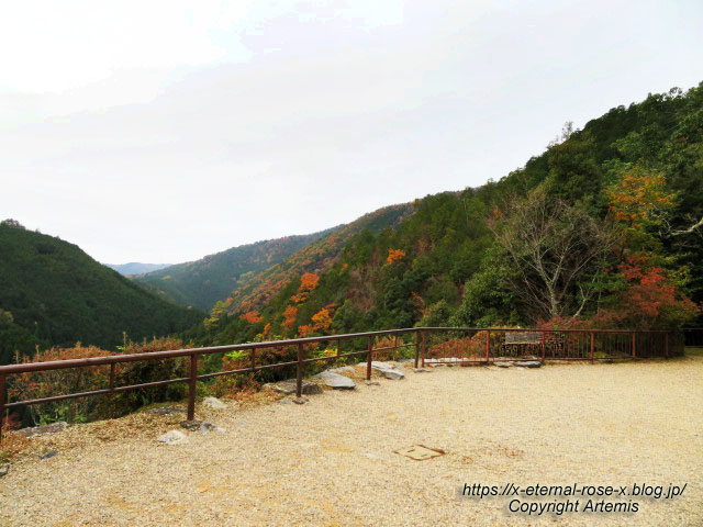 19.11.27 高雄 神護寺 (175)