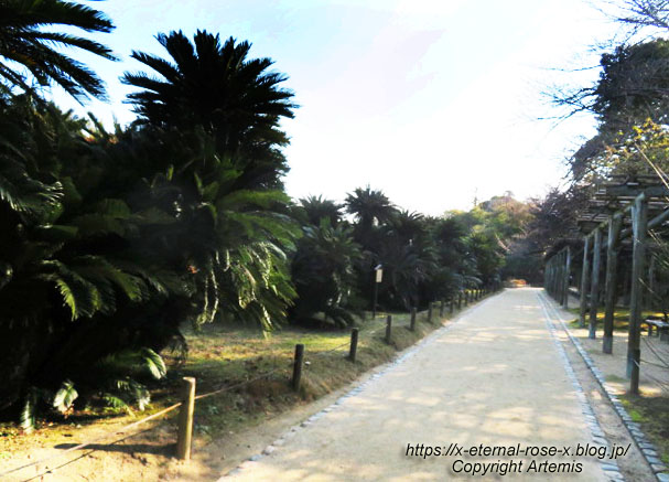 23.1.1 岡山後楽園  (98)