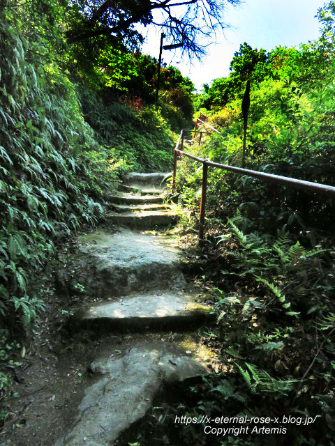 22.5.3.6 玉比咩神社  (43)