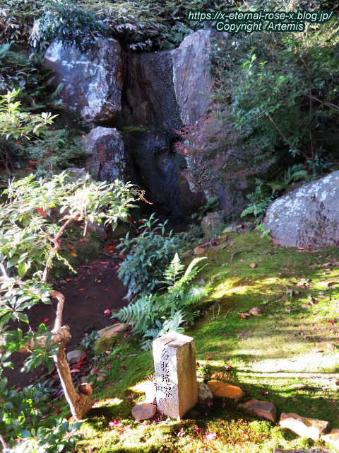 19.11.23.9 法金剛院 (55)