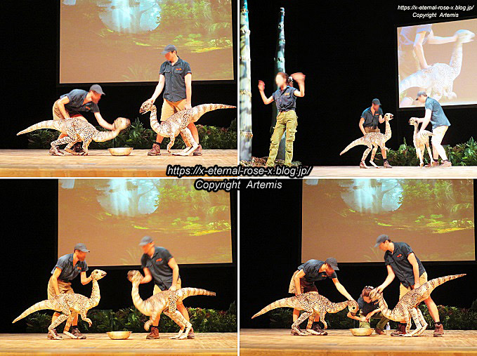 19.8.18.1 恐竜動物園 (39)