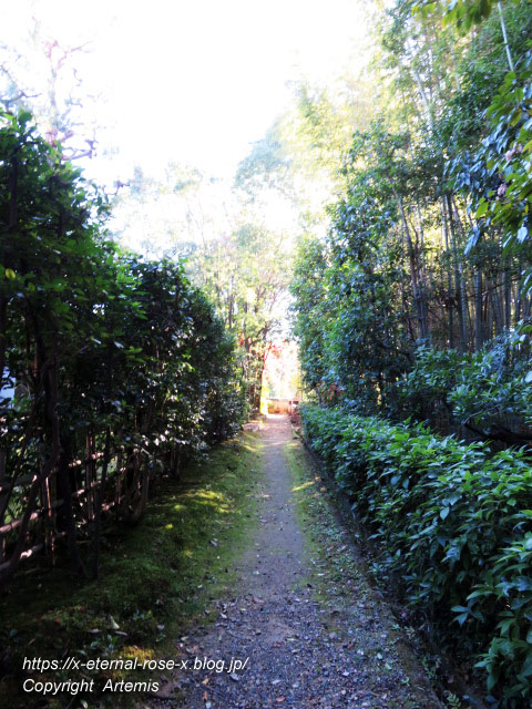 19.11.23.4 大雄院 (58)