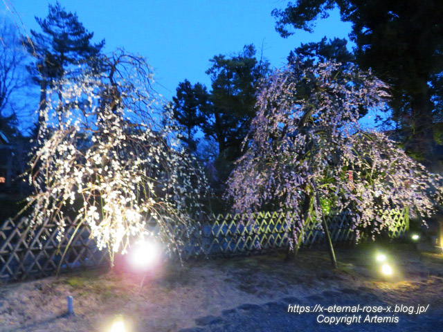23.3.3. 北野天満宮 (6)