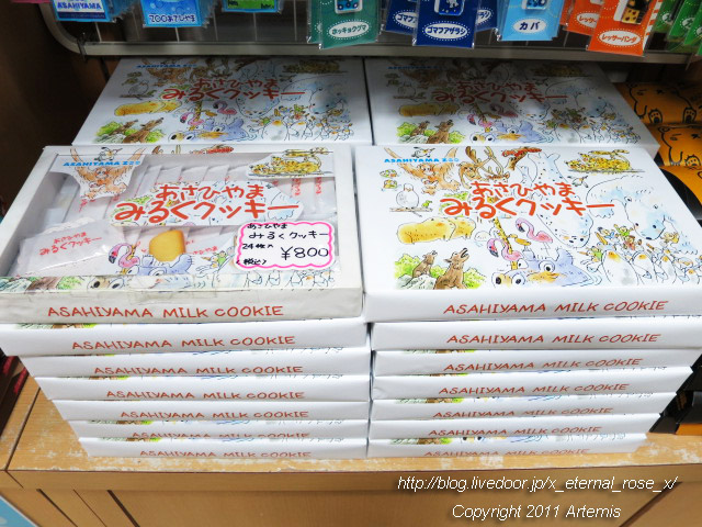 18.11.22.14 旭山動物園 (6)