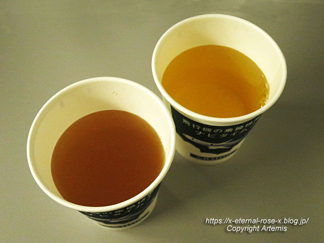 18.11.24.16 新千歳空港  (18)