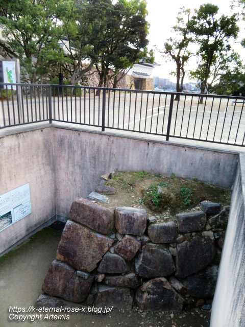23.1.1.5 岡山城  (22)