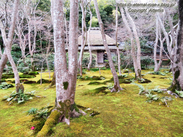 20.3.19.9 祇王寺  (22)