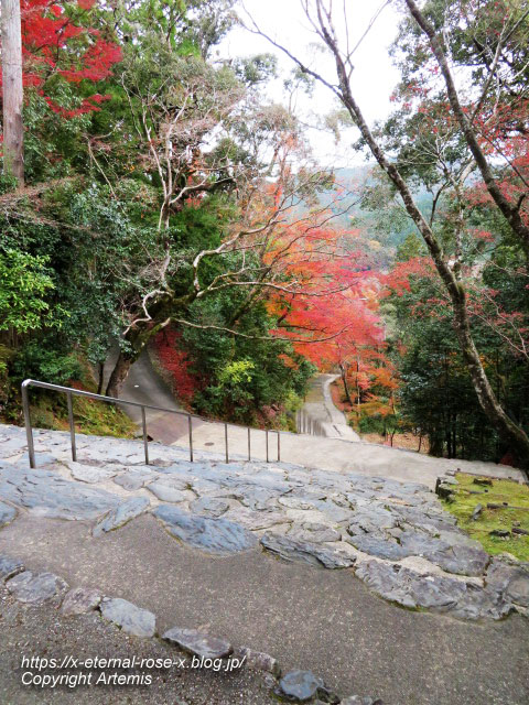 19.11.27 高雄 神護寺  (240)