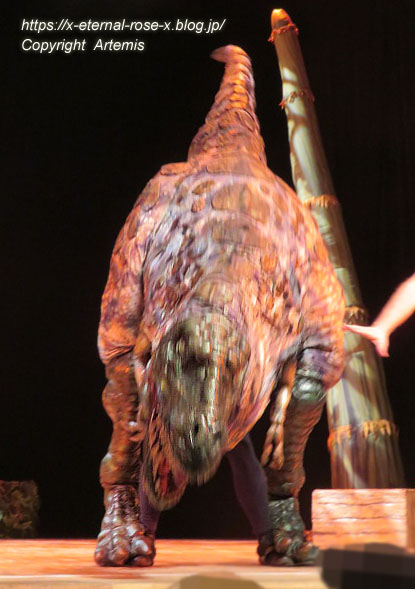 19.8.18.1 恐竜動物園 (78)