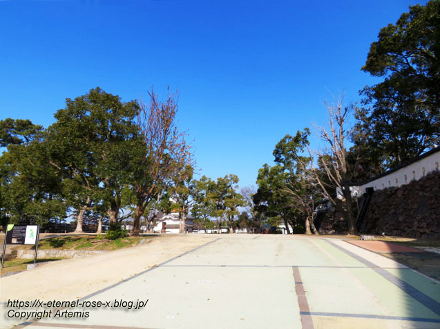 23.1.1.1 岡山城  (43)