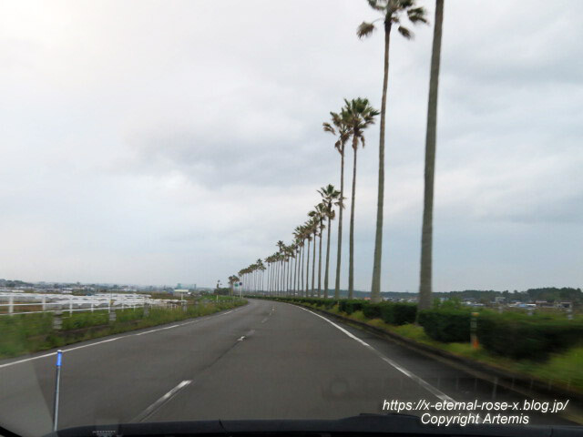 20.11.1.10 国道220号宮崎南バイパス (16)