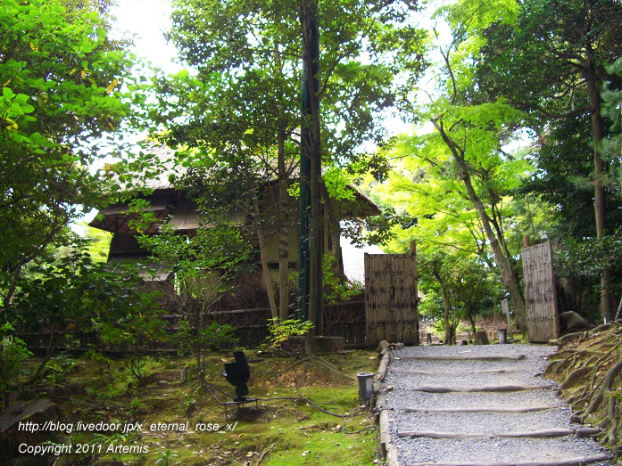 10.10.20.9 高台寺  (37)