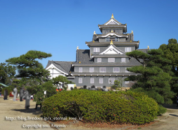 19.1.1.2 岡山城  (8)