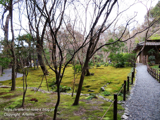 20.3.19.9 祇王寺  (26)
