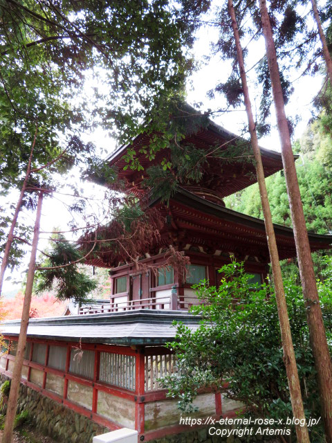 19.11.27 高雄 神護寺  (120)