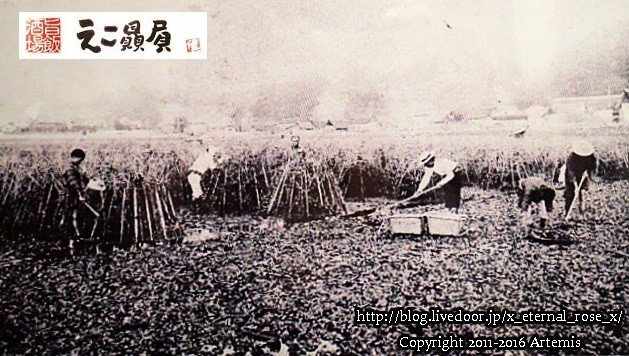 9 依怙贔屓 (38)