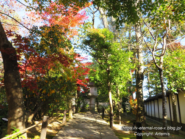 19.11.23.7 妙心寺 退蔵院  (11)