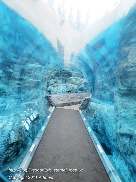 18.11.22.18 旭山動物園  (3)