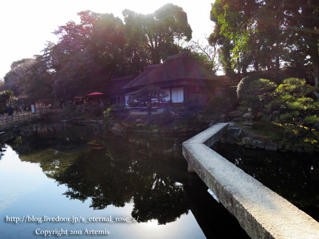 19.1.1.1 後楽園  (51)