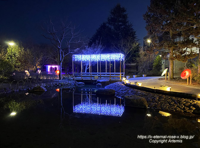 23.2.12.6 西大寺緑花公園.  (33)