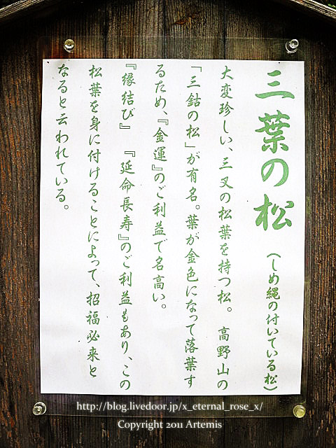 18.9.23.1 窪八幡宮  (22)