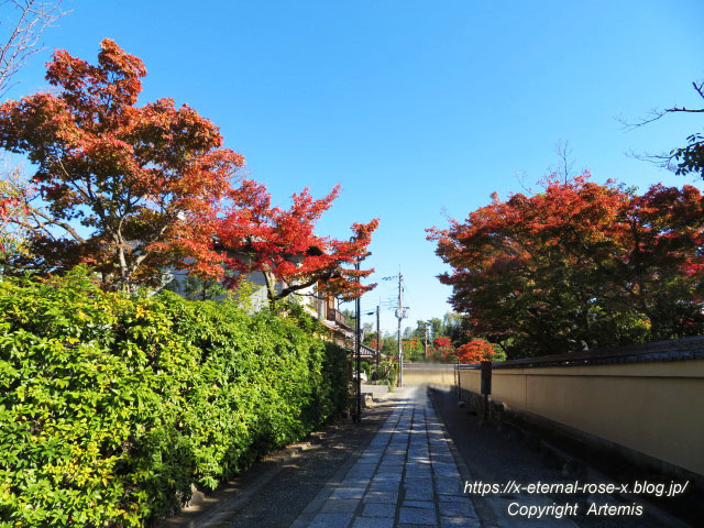19.11.23.1妙心寺  (7)