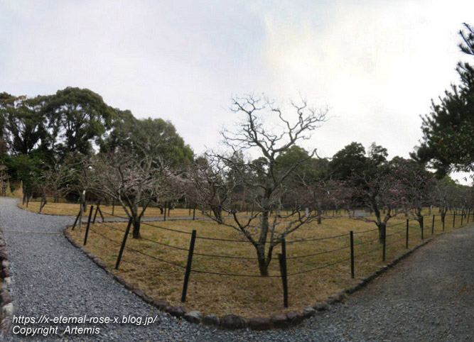 22.3.30.5 長岡公園  (0)