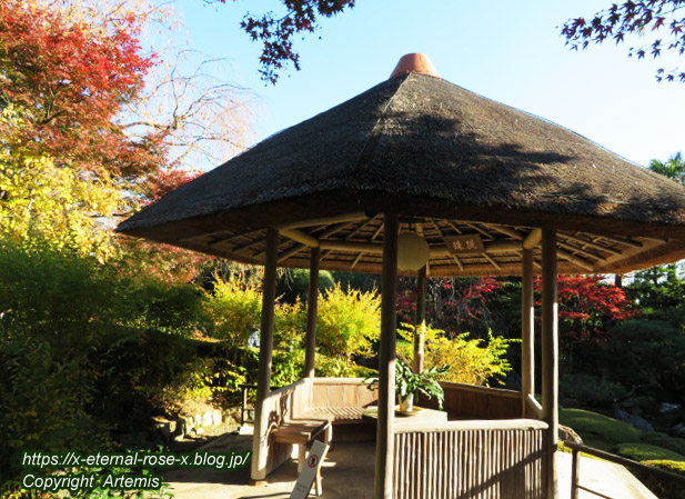 19.11.23.7 妙心寺 退蔵院  (55)