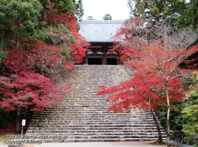 19.11.27 高雄 神護寺  (78)