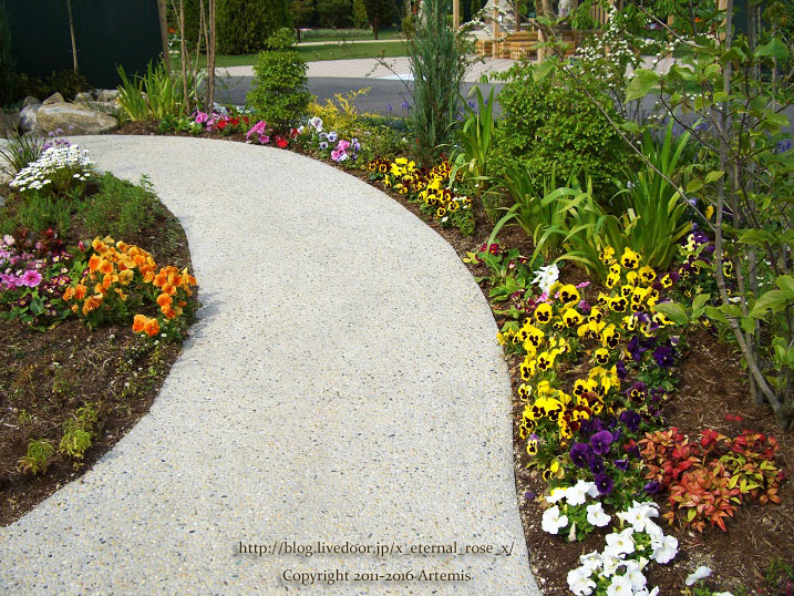 27 おかやま花だより  (19)