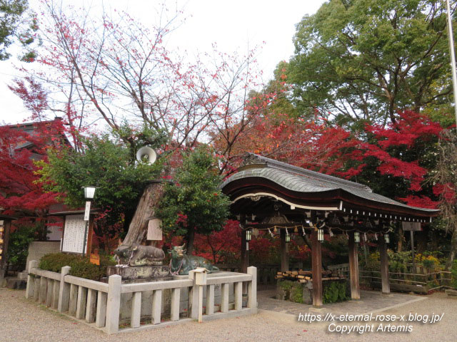 19.11.26.4 長岡天神 (57)