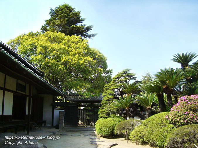 11.5.5.3 旧野﨑家住宅 野﨑家塩業歴史館 (18)