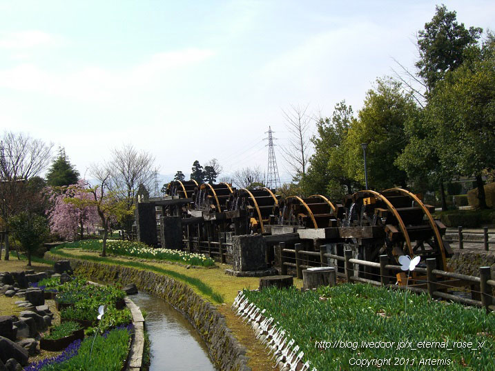 10.4.18 チューリップ四季彩館  (4)