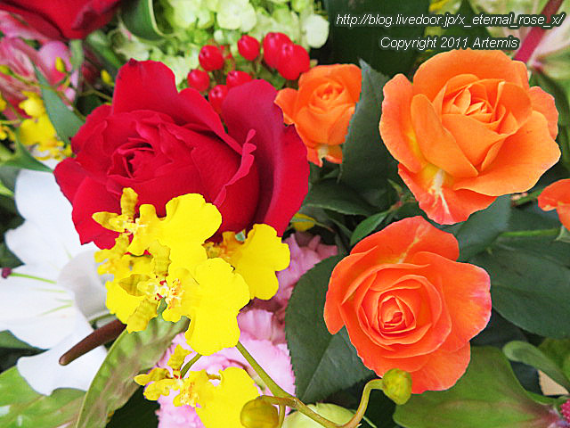 20.1.18.1 岡山はハレの日  (25)