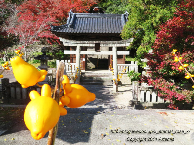 20.11.21.3 備中高梁稲荷神社  (32)
