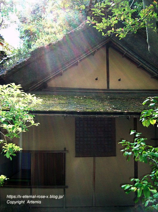 11.5.5.3 旧野﨑家住宅 野﨑家塩業歴史館  (29)