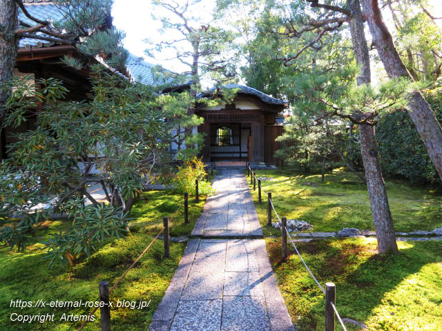 19.11.23.4 大雄院 (57)