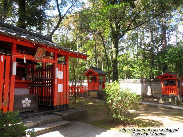 23.3.2.2 長岡天満宮  (5)