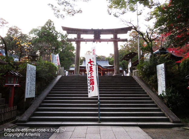 19.11.26.4 長岡天神 (46)