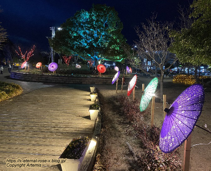 23.2.12.6 西大寺緑花公園. (8)