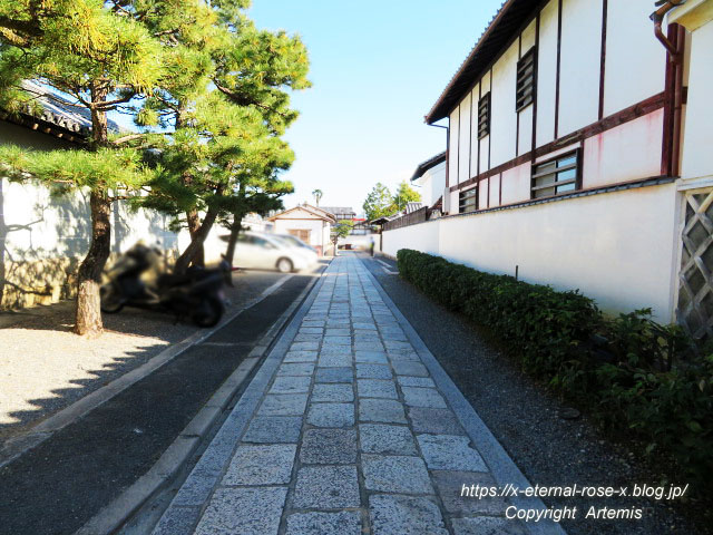 19.11.23.1妙心寺  (2)