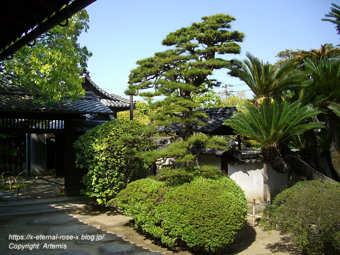 11.5.5.3 旧野﨑家住宅 野﨑家塩業歴史館 (12)