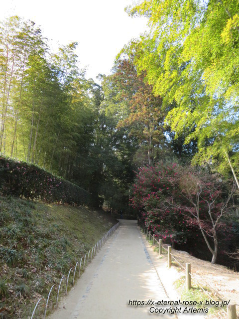 23.1.1.6 岡山後楽園 (4)
