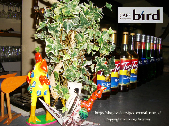 11 カフェバード  (16)