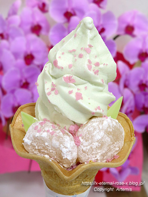 21.8.10.5 モモタロウマルシェ  (15)